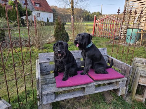 Bild "Aktuell:IMG-20260322-WA0051_500.jpg"