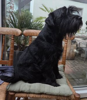 Bild "Aktuell:jette_2026_300.jpg"